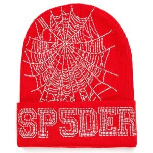 Sp5der Web Beanie